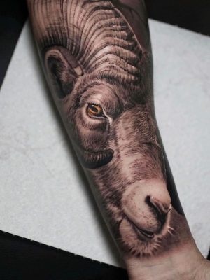 317114318_126425360260553_3739349943201641550_n