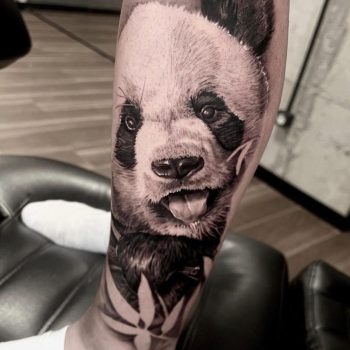 323673326_889927859033294_2420264819289088130_n