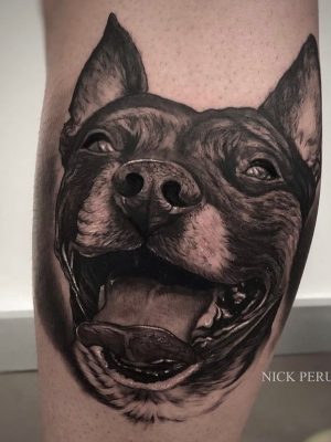 325273104_748783479915188_8935538343531319683_n